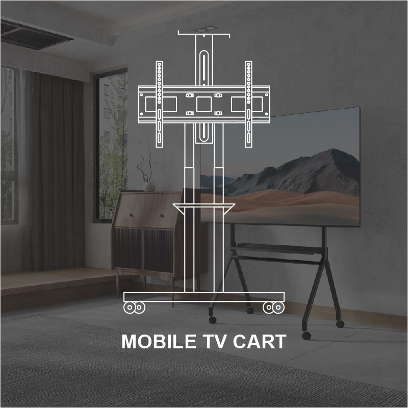 Mobile TV carts
