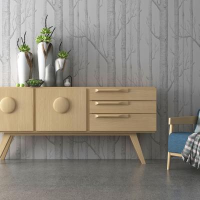 TV Mount or cabinet to place TV?